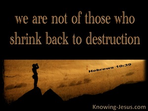 Hebrews 10:39